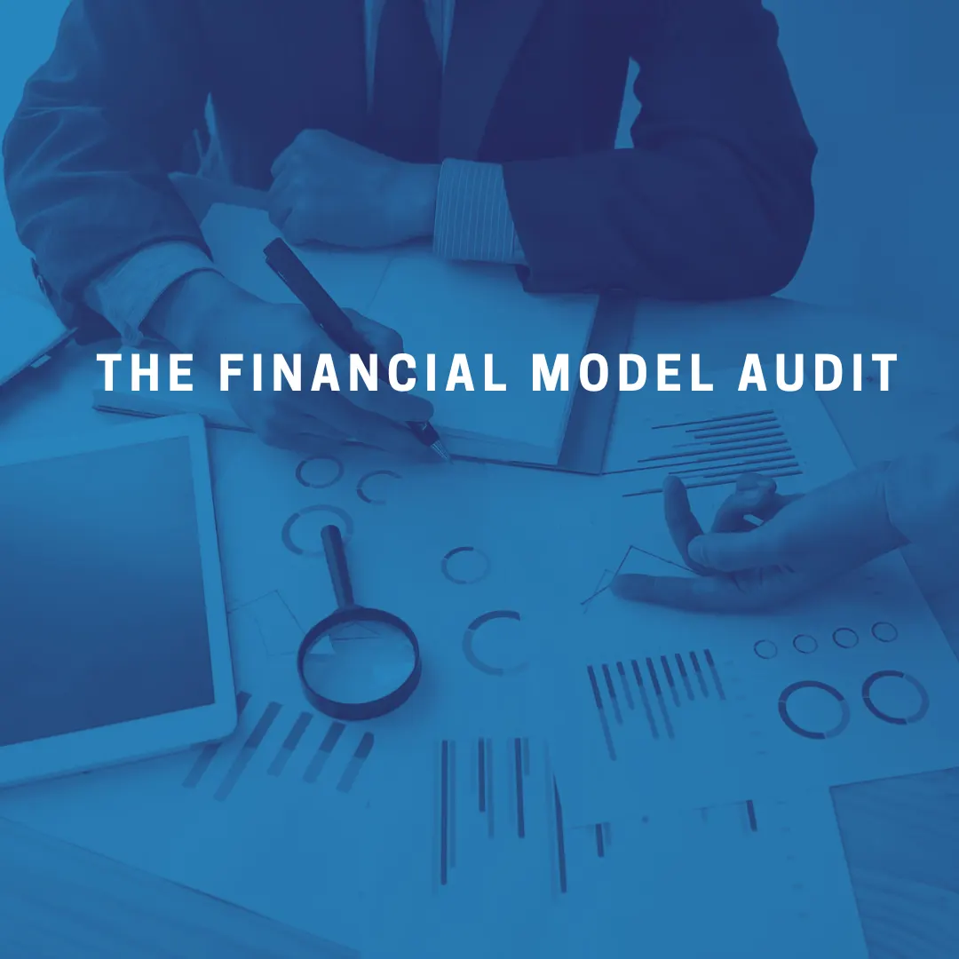 The Financial Model Audit